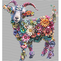 Animal Integration-DW 338